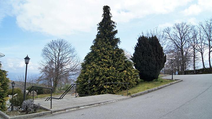 Kolping House Bed & Breakfast Lamego Dış mekan fotoğraf